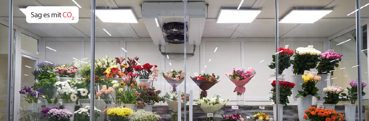 Zukunftssicher mit CO₂ als Kältemittel