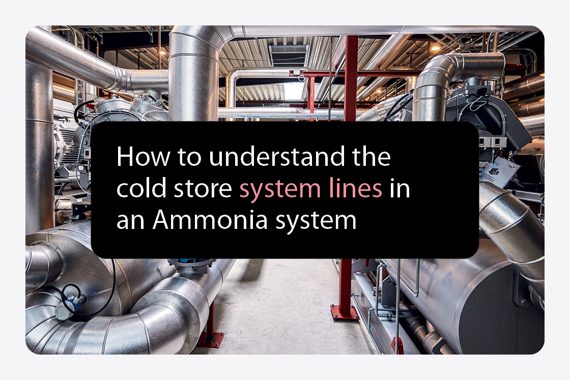 How to understand the cold store system lines in an Ammonia system