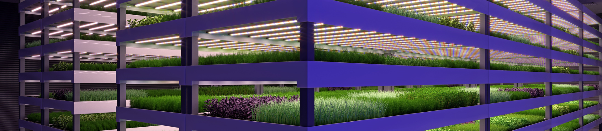 Vertical Farming solutions