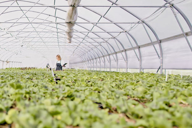 Zuverlässige Lebensmittelversorgung