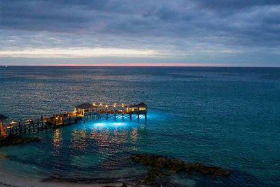 Suez Oil Free Danfoss App Pump