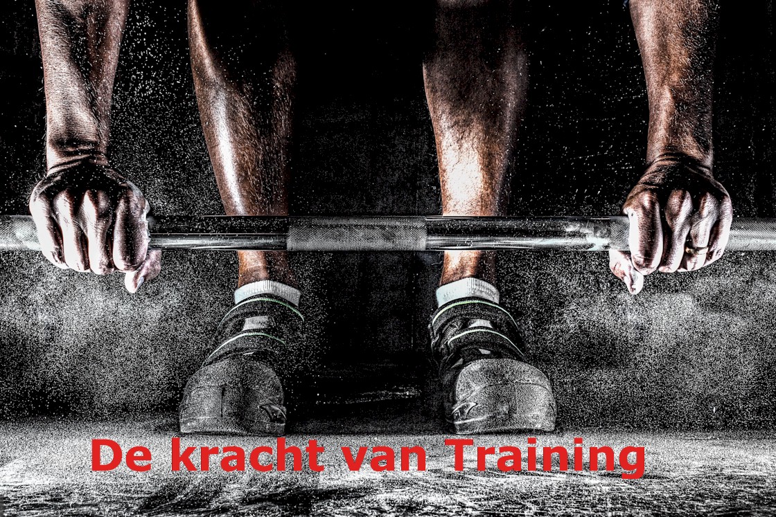 Drives Trainingen
