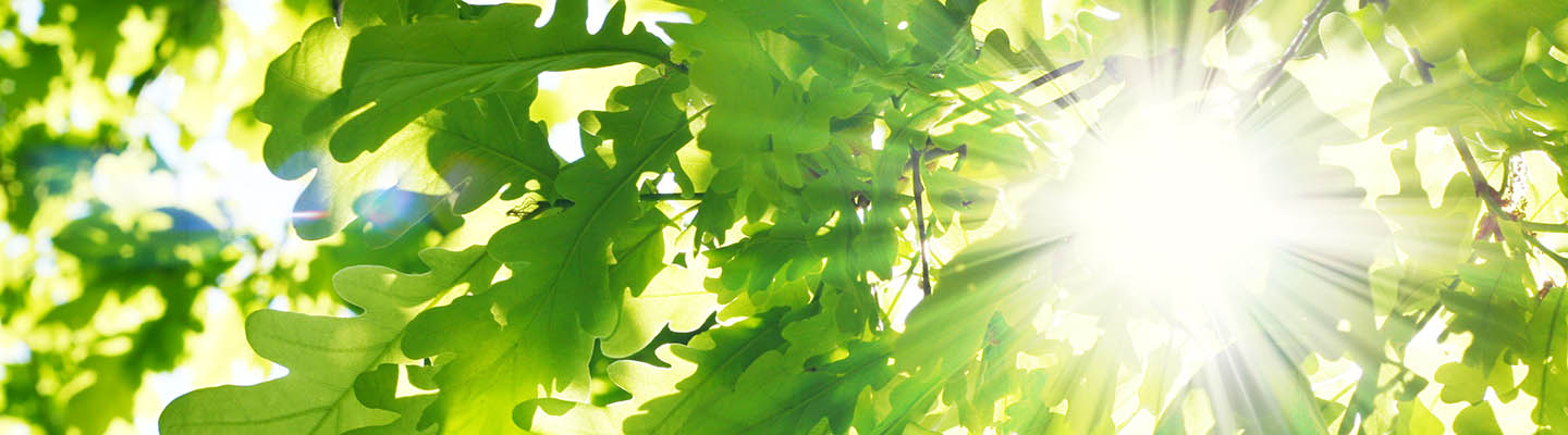 Данфосс в России | Danfoss