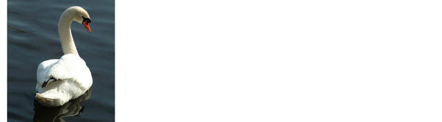 Данфосс в России | Danfoss