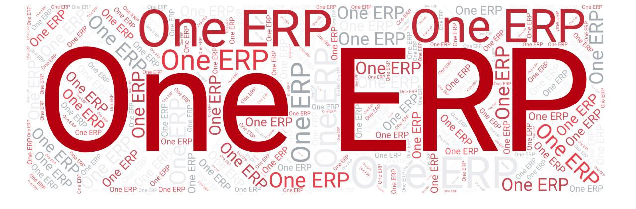 Danfoss One ERP 