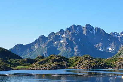Salmon industry