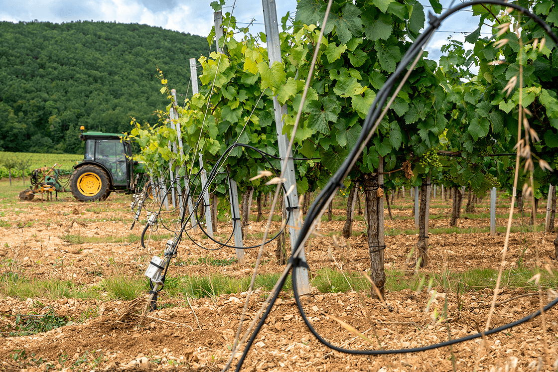 solution de lutte contre le gel des vignes danfoss