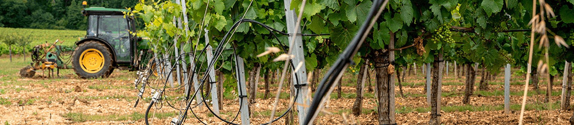 Cahors contre le gel des vignes