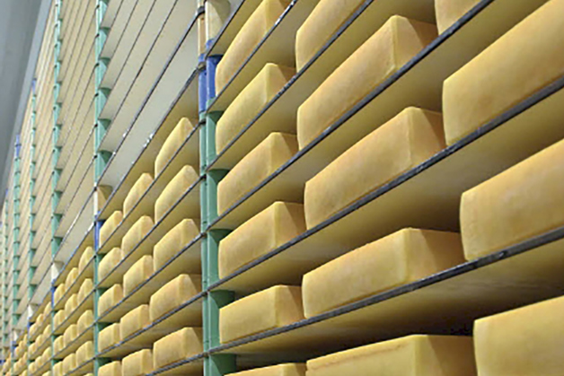 Rows of cheese in cold storage