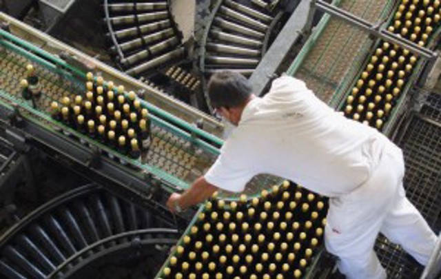 Mitarbeiter beugt sich in einer Abfüllanlage über ein Transportband