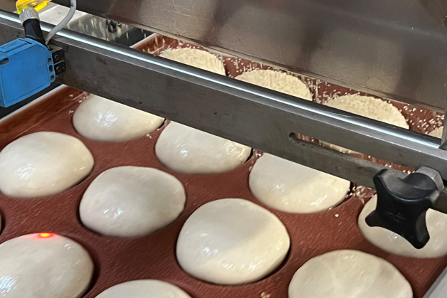 Close-up of dough balls on the Kohberg Bakery line