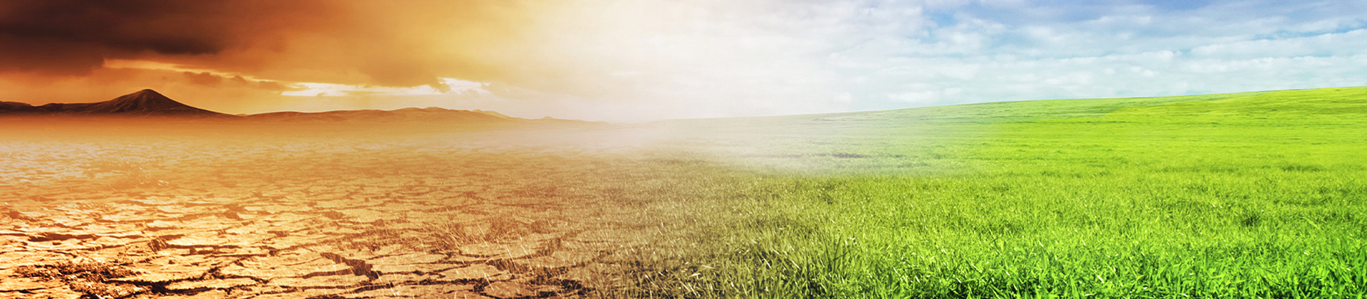 Decarbonization within water