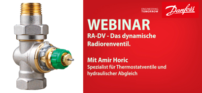 Webinar zum Thema RA-DV