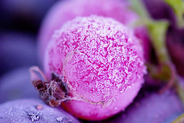 Catálogo MLZ/LLZ - Danfoss