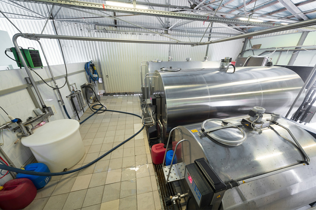 Specjalistyczne układy chłodzenia dla zbiorników mleka – Danfoss