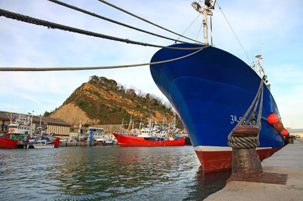 Industrial Refrigeration solutions for the fishery industry - Danfoss