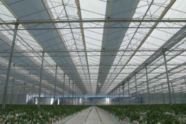 Danfoss PAHT Pumps Help Regulate Temperature and Humidity in Massive Russian Greenhouse
