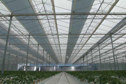 Danfoss PAHT Pumps Help Regulate Temperature and Humidity in Massive Russian Greenhouse