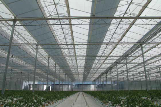 Danfoss PAHT Pumps Help Regulate Temperature and Humidity in Massive Russian Greenhouse