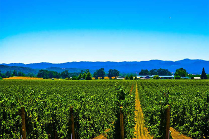 Napa Valley Danfoss