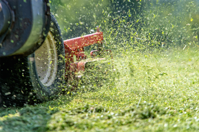 Lawn and turf