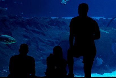 Енергоефективна охорона природи за допомогою VLT AQUA Drive