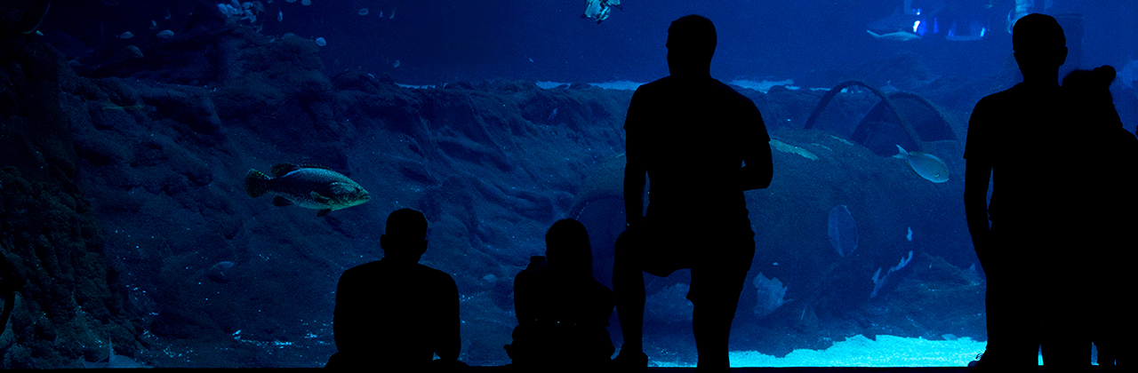 Nowoczesne systemy podtrzymania życia w Orientarium ZOO Łódź