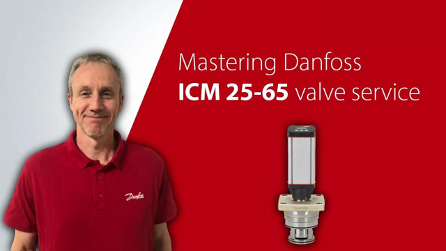 ICM 25-65