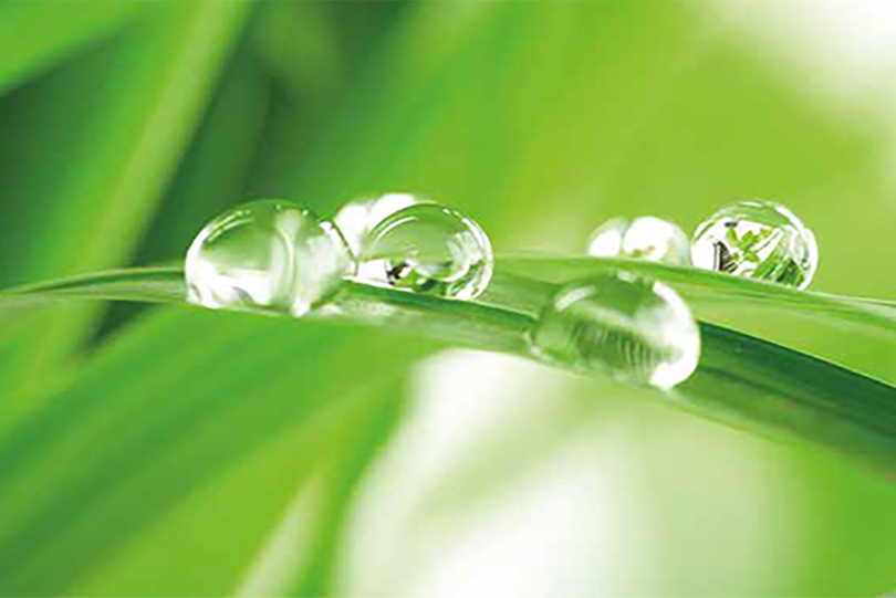 Hydrocarbons Natural refrigerants for going green Danfoss
