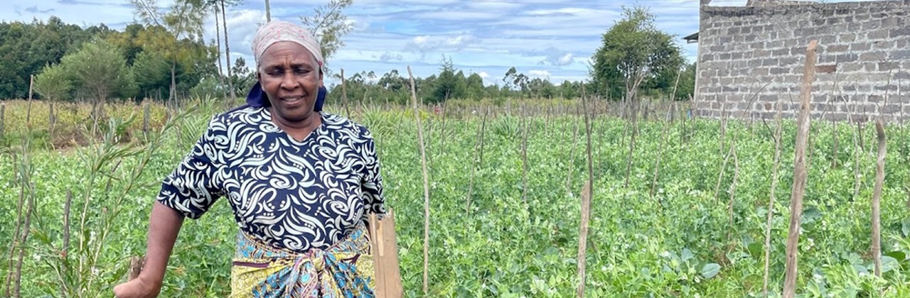 Cold chain in emergent markets