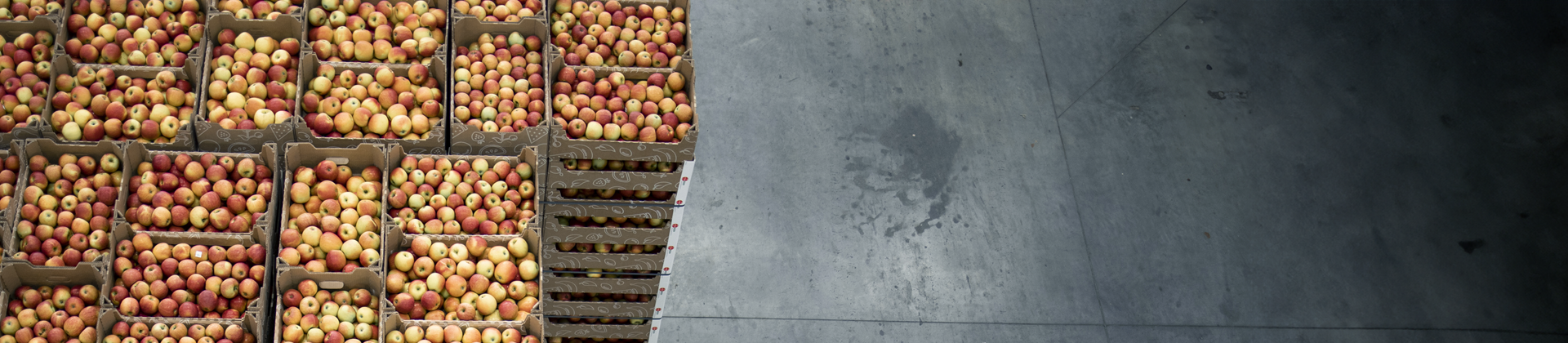 Apples food retail industry fruits production crate of apples