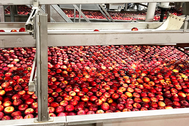 apple Rivoira