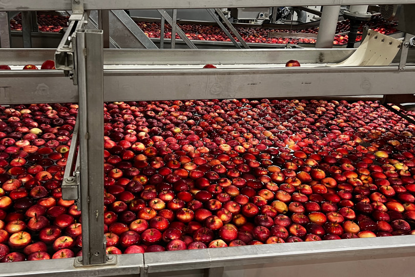 apple Rivoira
