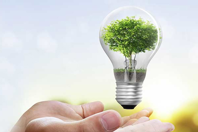 手 - 树 - 绿色能源 - 丹佛斯