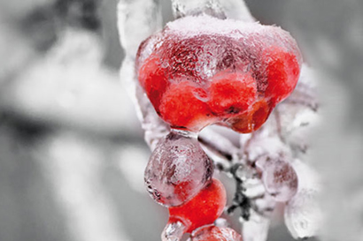 Quick Selection Catalogue