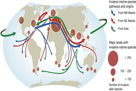 Ballast water regulation