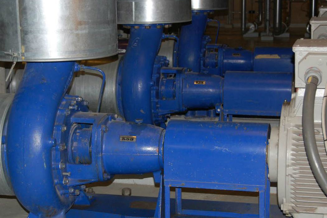 Row of blue pumps side by side