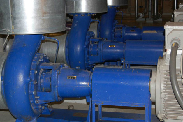 Row of blue pumps side by side