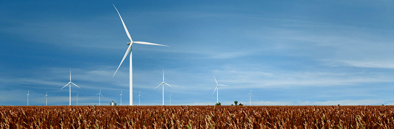 Windmills on a farm beneath a bright blue sky representing energy and natural resources