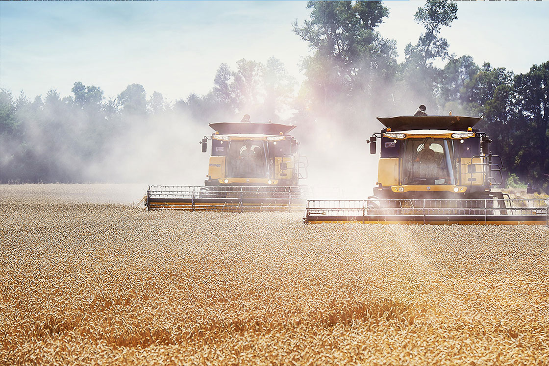 Machines harvesting