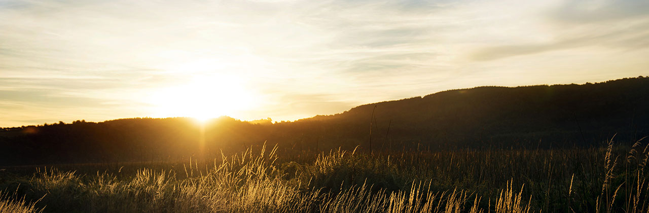 The Challenge of Net Zero in the Heating Sector