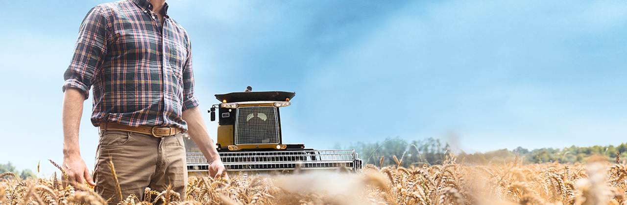 Photo of a farmer in a field of wheat with a plow in the background on a clear, sunny day.