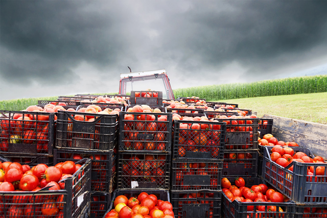 Fornecimento de alimentos