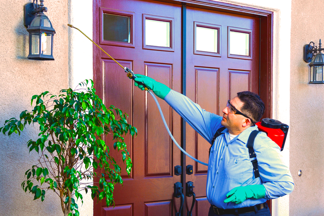 Insect Control