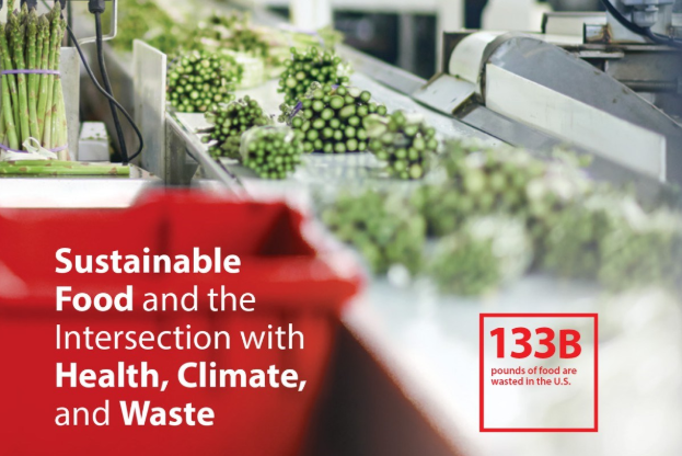 Solutions magazine cover 2017