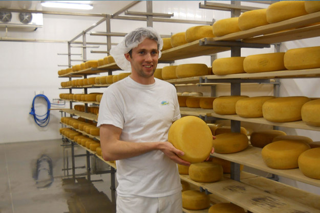 Gunn Hill Cheese