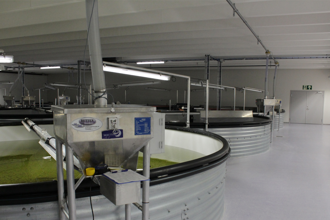 Nepokolebljiva pouzdanost kao potpora održive akvakulture u kompaniji Nordlaks