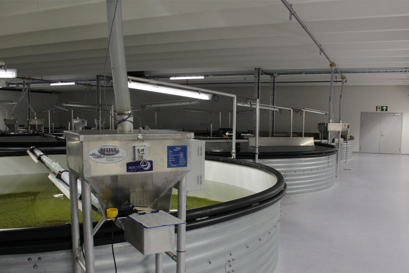 Trdna zanesljivost podpira trajnostno ribogojstvo v Nordlaksu