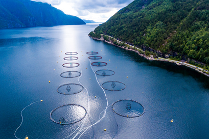 open sea for fishing