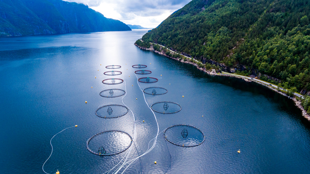 open sea for fishing